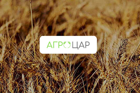 Agrotzar