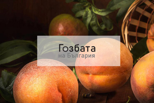 gozbatanabulgaria