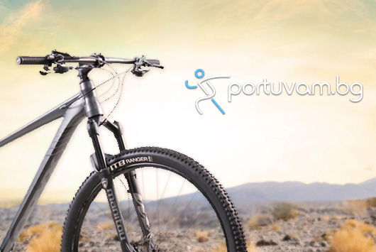 sportuvam